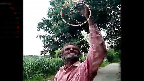 ಸಂಗ್ರಹ ಚಿತ್ರ