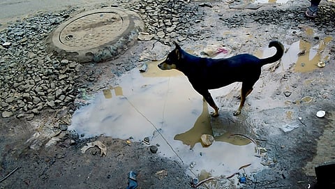 ಬೆಂಗಳೂರಿನಲ್ಲಿ ಹೊಂಡ, ಗುಂಡಿಯ ದುರವಸ್ಥೆ