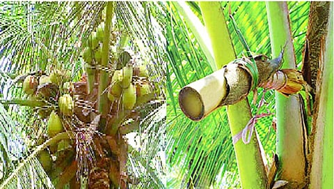 ಸಂಗ್ರಹ ಚಿತ್ರ