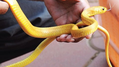 ಸಾಂದರ್ಭಿಕ ಚಿತ್ರ