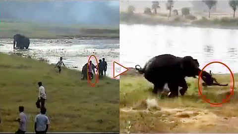ಆನೆ ದಾಳಿಯ ದೃಶ್ಯ