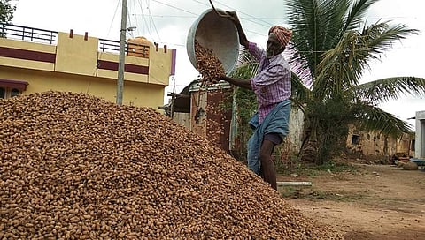 ರೈತರು