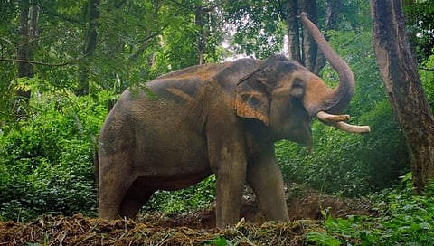 ಸಾಂದರ್ಭಿಕ ಚಿತ್ರ