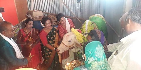 ಜಮಖಂಡಿಯಲ್ಲಿ ಗೋ ಮಾತೆಗೆ ಸೀಮಂತ ನೆರವೇರಿಸಿದ ಜಕಾತಿ ಕುಟುಂಬ
