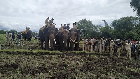 ಸೆರೆಯಾದ ಪುಂಡಾನೆ