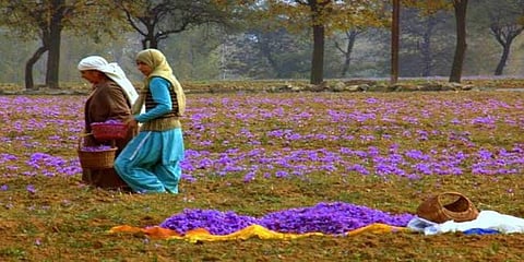 ಕಾಶ್ಮೀರದ ರೈತರ ರಕ್ಷಣೆಗೆ ಧಾವಿಸಿದ ಕೇಂದ್ರ ಸರ್ಕಾರ