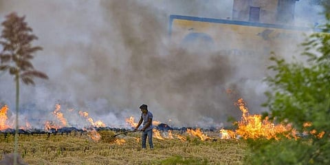 ಕೃಷಿ ತ್ಯಾಜ್ಯ ಸುಡದೇ ಇದ್ದರೆ 2,500 ರೂಪಾಯಿ ಪರಿಹಾರ ಧನ!