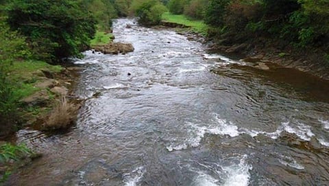 ಸಂಗ್ರಹ ಚಿತ್ರ