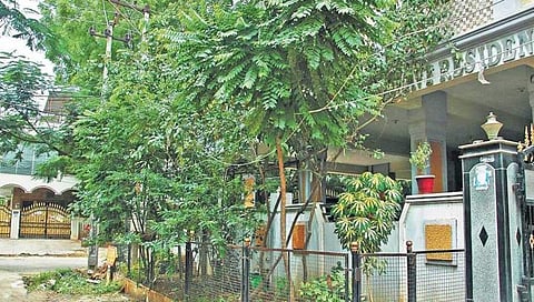 ಸಂಗ್ರಹ ಚಿತ್ರ