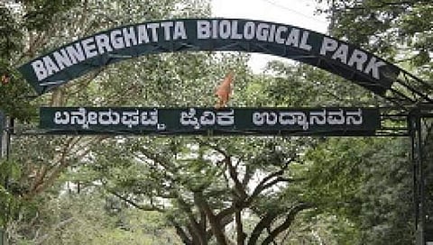 ಸಂಗ್ರಹ ಚಿತ್ರ