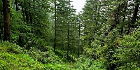ಸಂಗ್ರಹ ಚಿತ್ರ