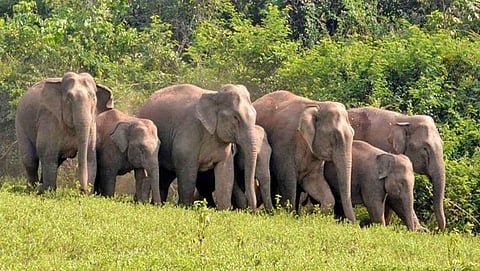ಸಾಂದರ್ಭಿಕ ಚಿತ್ರ