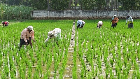 ಸಾಂದರ್ಭಿಕ ಚಿತ್ರ