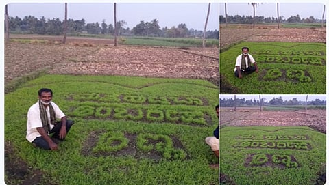 ಭತ್ತದ ಪೈರಿನಲ್ಲಿ ಅಂಬಿ ಅಭಿಮಾನ
