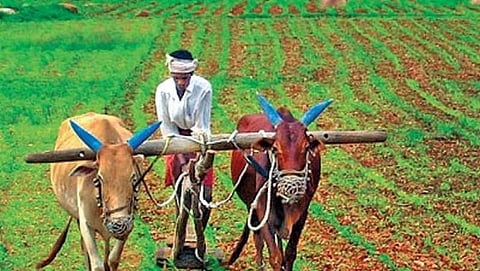 ಸಾಂದರ್ಭಿಕ ಚಿತ್ರ