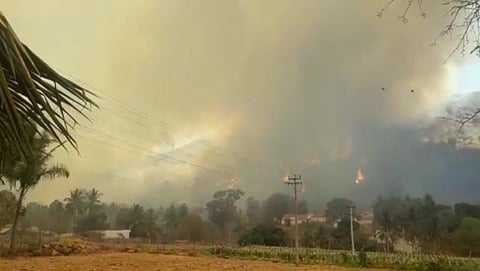 ಮಲೆಮಹದೇಶ್ವರಬೆಟ್ಟದ ಪೊನ್ನಾಚಿಯಲ್ಲಿ ಕಾಳ್ಗಿಚ್ಚು