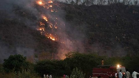 ಮೈಸೂರು ಚಾಮುಂಡಿ ಬೆಟ್ಟದಲ್ಲಿ ಮತ್ತೆ ಬೆಂಕಿ ಅವಘಡ, 25 ಎಕರೆ ಅರಣ್ಯ ನಾಶ!