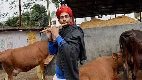 ತೇಜ್  ಪ್ರತಾಪ್