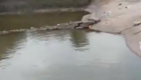 ಸಿದ್ಧರಬೆಟ್ಟದ ಕಲ್ಯಾಣಿ