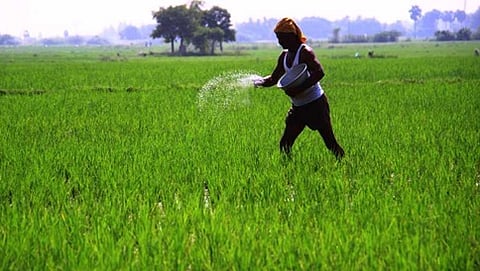 ಸಾಂದರ್ಭಿಕ ಚಿತ್ರ