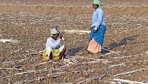 ಸಾಂದರ್ಭಿಕ ಚಿತ್ರ