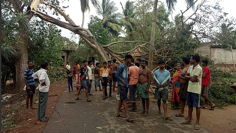 ಸಂಗ್ರಹ ಚಿತ್ರ