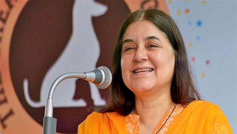 ಮೇನಕಾ ಗಾಂಧಿ