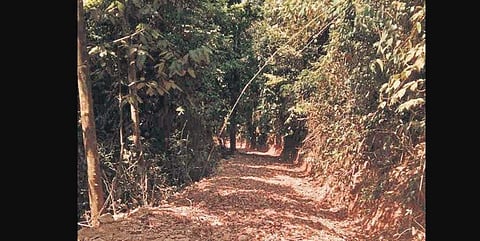 ಆಸ್ತಿ ಮಾಲೀಕ ನಿರ್ಮಿಸುತ್ತಿದ್ದ ರಸ್ತೆ
