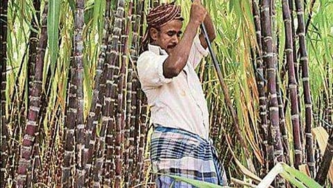 ಸಾಂದರ್ಭಿಕ ಚಿತ್ರ