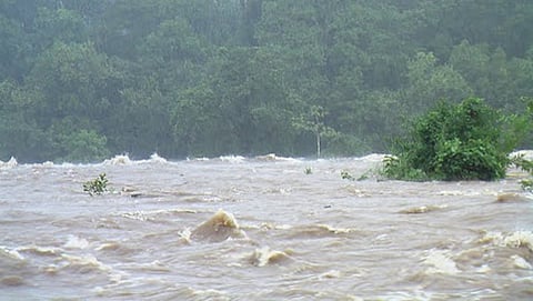 ನೇತ್ರಾವದಿ ನದಿ ನೀರು