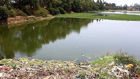 ಸಾಂದರ್ಭಿಕ ಚಿತ್ರ