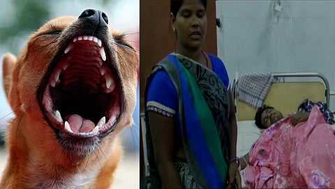 ಸಂಗ್ರಹ ಚಿತ್ರ