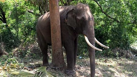ಸಾಂದರ್ಭಿಕ ಚಿತ್ರ