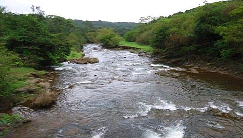 ಮಹದಾಯಿ