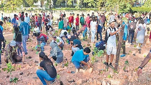 ಬೆಂಗಳೂರು: ಕೋಟಿ ವೃಕ್ಷ ಆಂದೋಲನಕ್ಕೆ ಅಲಸೂರು ಕೆರೆಯಲ್ಲಿ ಚಾಲನೆ
