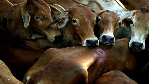 ಸಾಂದರ್ಭಿಕ ಚಿತ್ರ