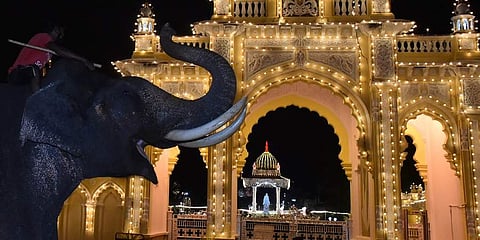 ಅರಮನೆ ಮುಂದೆ ಆನೆ