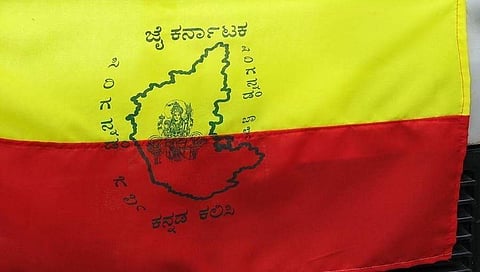 ರಾಜ್ಯೋತ್ಸವ ಆಚರಣೆ: ಮೆರವಣಿಗೆ ನಡೆಸುವಂತಿಲ್ಲ: ಸರ್ಕಾರದಿಂದ ಮಾರ್ಗಸೂಚಿ ಬಿಡುಗಡೆ