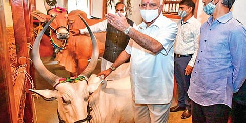 ಸಿಎಂ ಯಡಿಯೂರಪ್ಪ