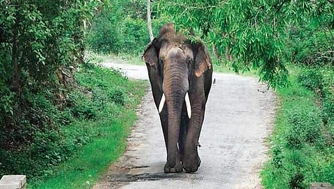 ಸಾಂದರ್ಭಿಕ ಚಿತ್ರ