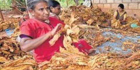 ಸಂಗ್ರಹ ಚಿತ್ರ