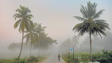 ಬೆಂಗಳೂರು-ಮೈಸೂರು ಹೆದ್ದಾರಿಯಲ್ಲಿ ಕಂಡುಬಂದ ದೃಶ್ಯ
