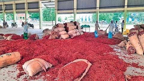 ಸಾಂದರ್ಭಿಕ ಚಿತ್ರ