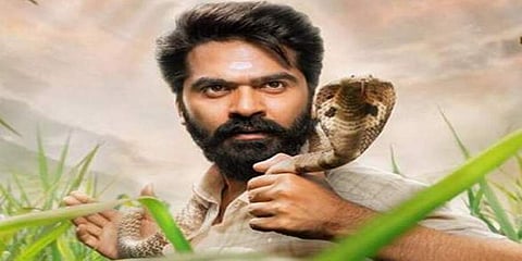 ಈಶ್ವರನ್ ಸಿನಿಮಾದಲ್ಲಿ ನಾಗರಹಾವು; ನಟ ಸಿಂಬುಗೆ ಸಂಕಷ್ಟ!