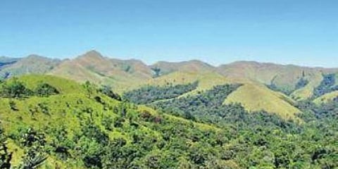 ಸಂಗ್ರಹ ಚಿತ್ರ