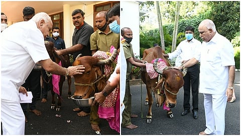 ಗೋ ಪೂಜೆ ನೆರವೇರಿಸಿದ ಮುಖ್ಯಮಂತ್ರಿ ಬಿ ಎಸ್ ಯಡಿಯೂರಪ್ಪ