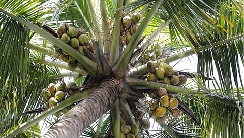 ಸಾಂದರ್ಭಿಕ ಚಿತ್ರ