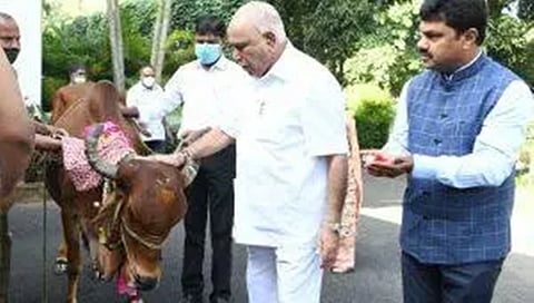 ಗೋವಿನೊಂದಿಗೆ ಮುಖ್ಯಮಂತ್ರಿ ಬಿಎಸ್ ಯಡಿಯೂರಪ್ಪ
