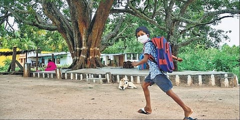 ಸಂಗ್ರಹ ಚಿತ್ರ