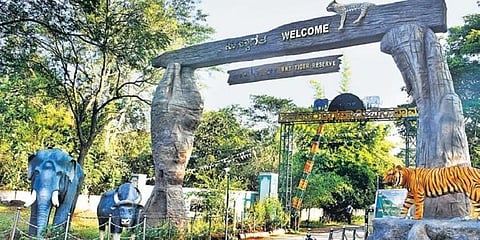 ಹುಲಿ ಸಂರಕ್ಷಿತ ಪ್ರದೇಶ